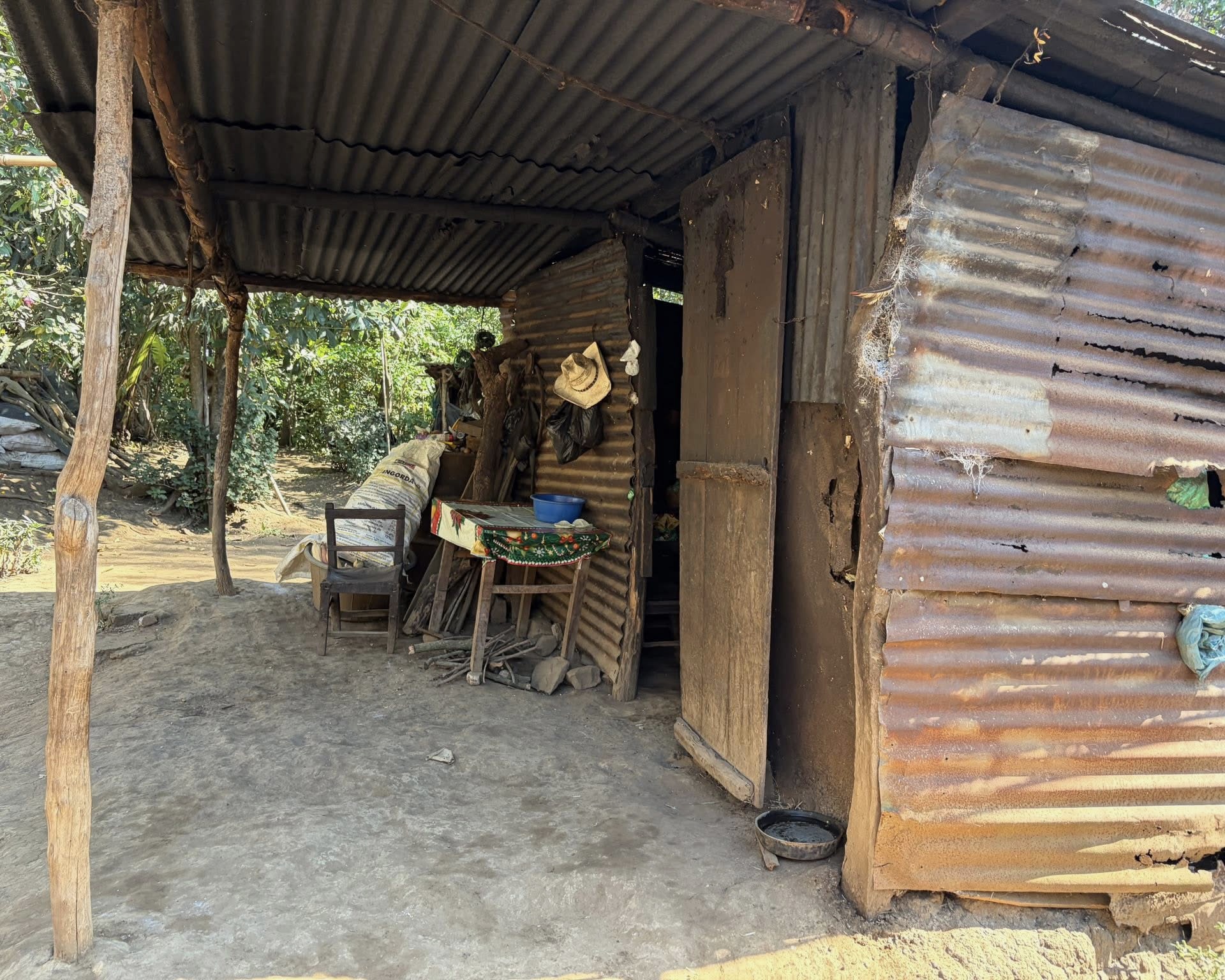 Natural wood structure processed